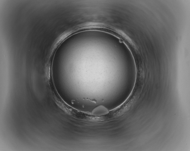 X0000116261413200912071013