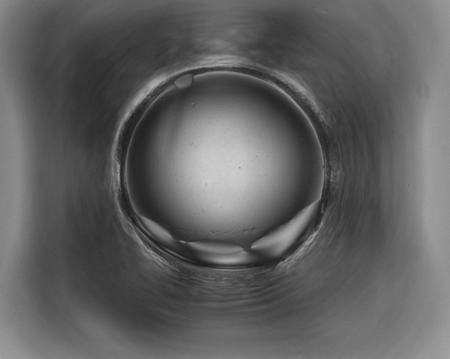 X0000116261414200912071013
