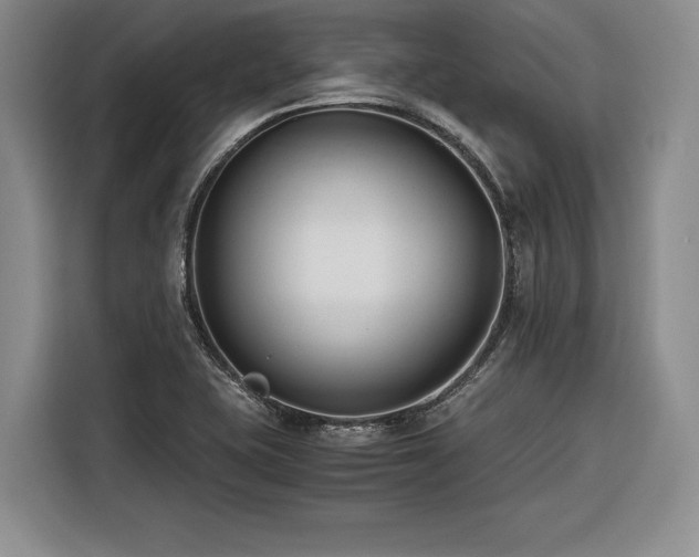 X0000116261415200912071013