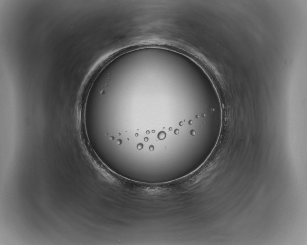 X0000116261416200912071013