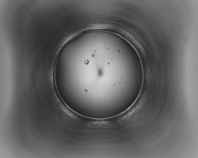X0000116261417200912071013
