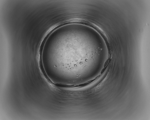 X0000116261418200912071013