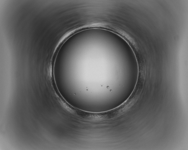 X0000116261420200912071013