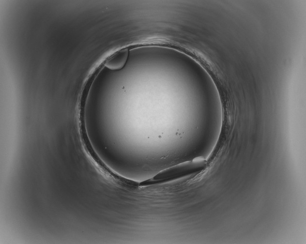 X0000116261422200912071013