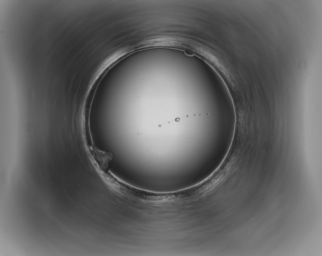 X0000116261426200912071013