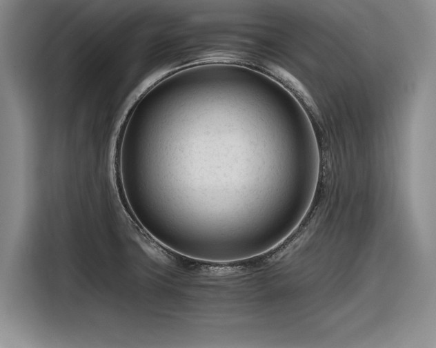 X0000116261427200912071013