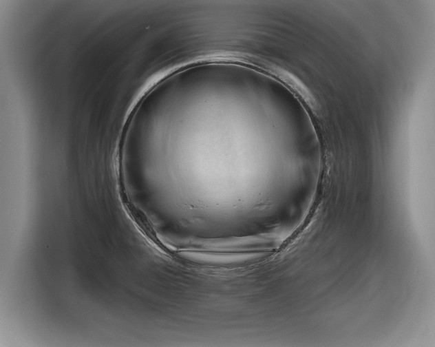 X0000116261428200912071013