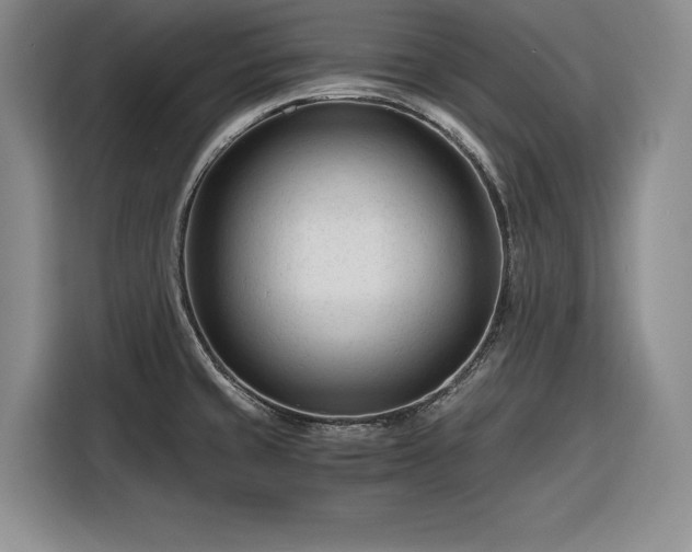 X0000116261429200912071013