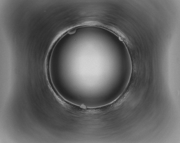 X0000116261430200912071013
