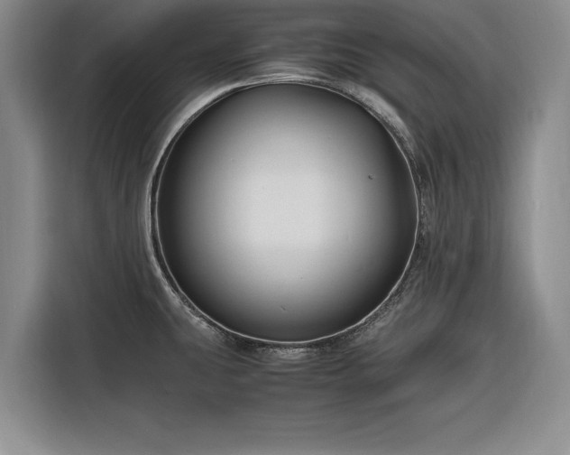 X0000116261431200912071013