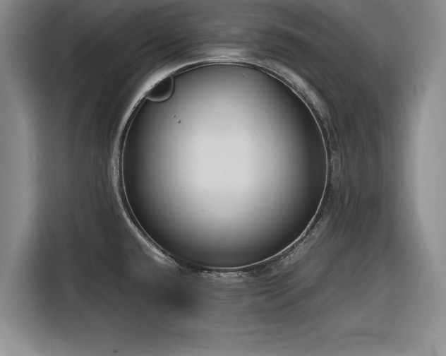 X0000116261432200912071013