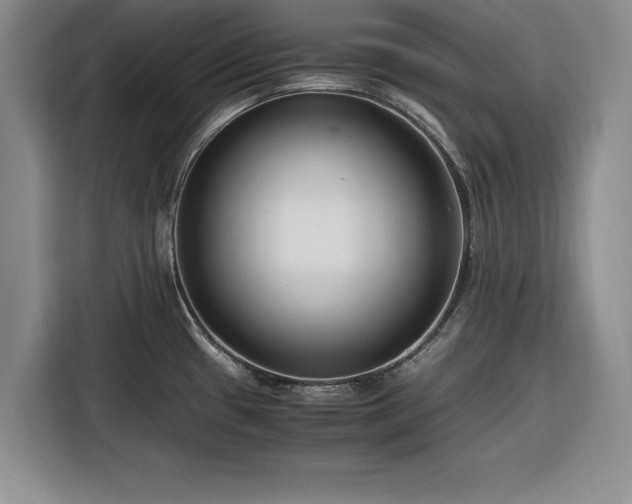 X0000116261433200912071013