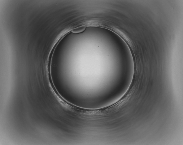 X0000116261434200912071013