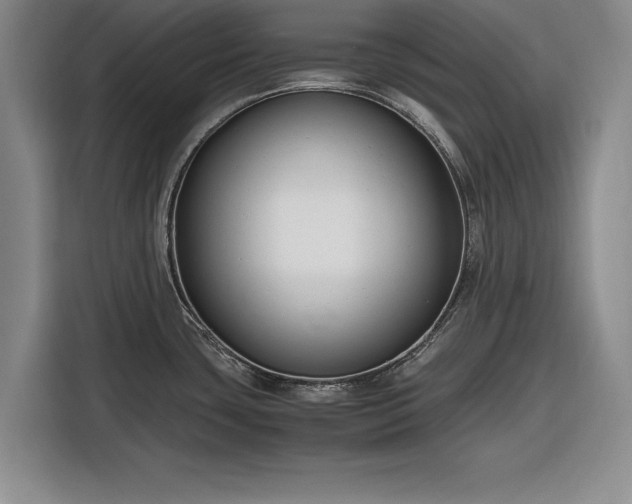 X0000116261435200912071013