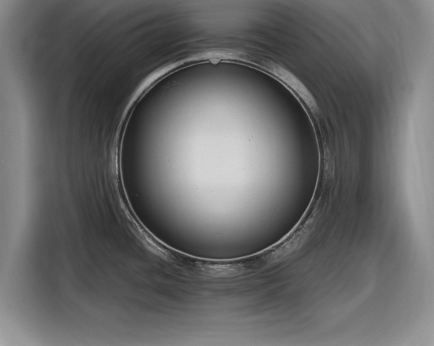 X0000116261436200912071013