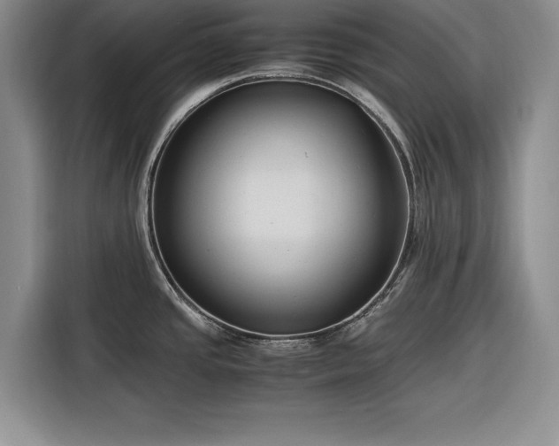 X0000116261437200912071013