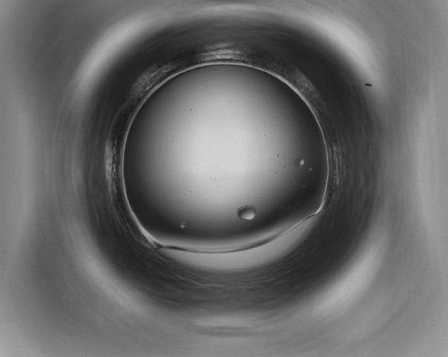X0000116261438200912071013