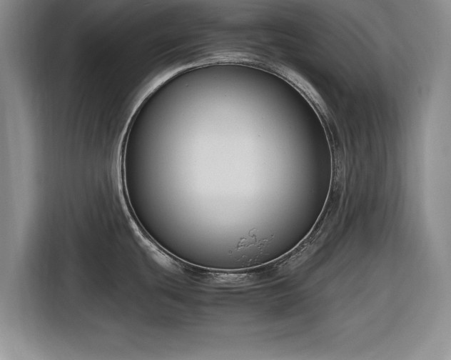X0000116261439200912071013