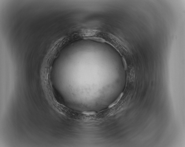 X0000116261441200912071013