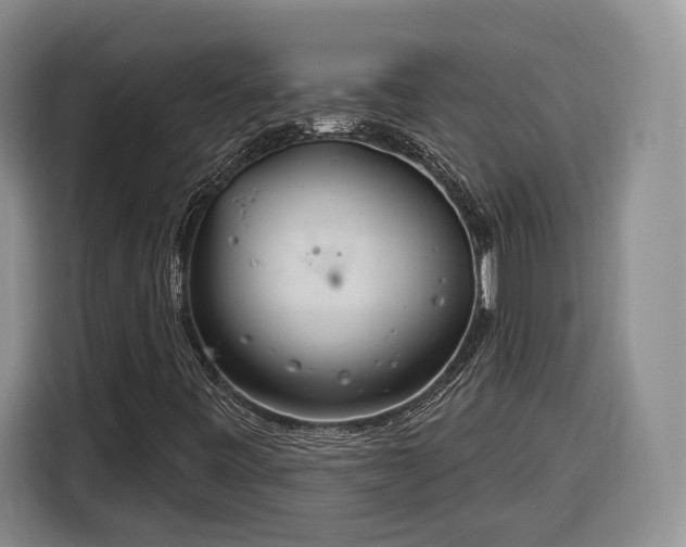 X0000116261443200912071013