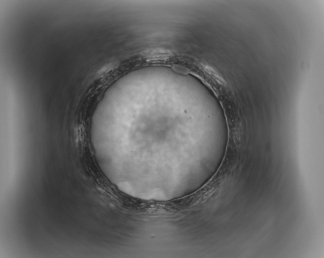 X0000116261445200912071013