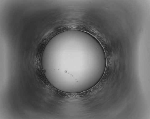 X0000116261446200912071013