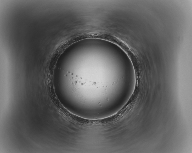 X0000116261447200912071013