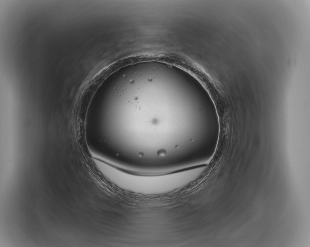 X0000116261448200912071013