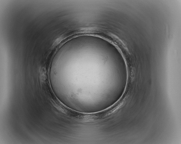 X0000116261449200912071013