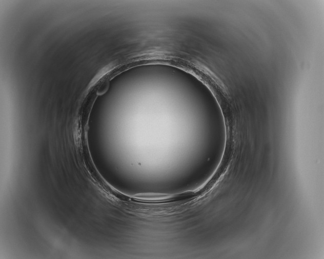 X0000116261450200912071013