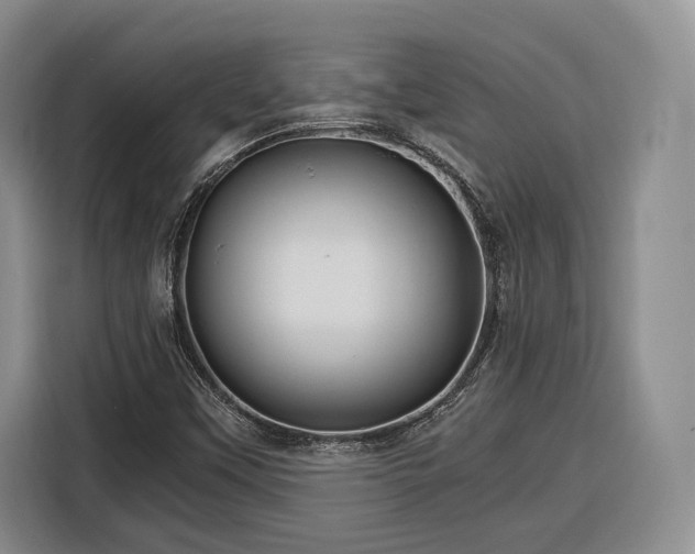 X0000116261451200912071013