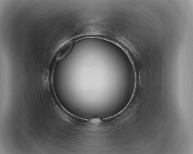 X0000116261452200912071013