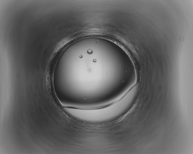 X0000116261453200912071013