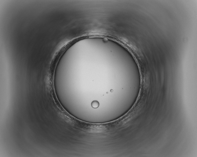X0000116261454200912071013