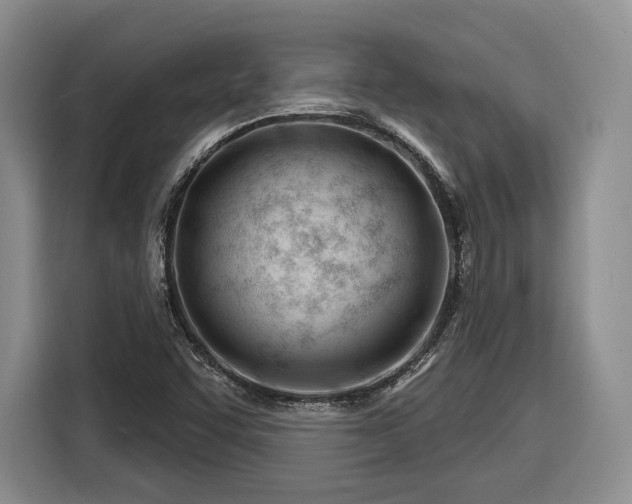 X0000116261455200912071013