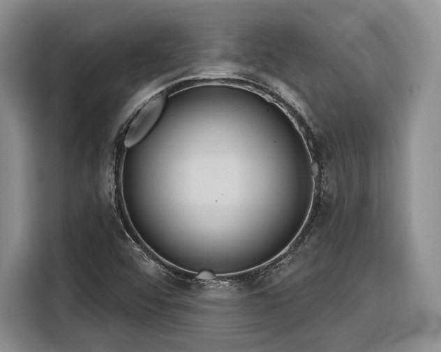 X0000116261456200912071013