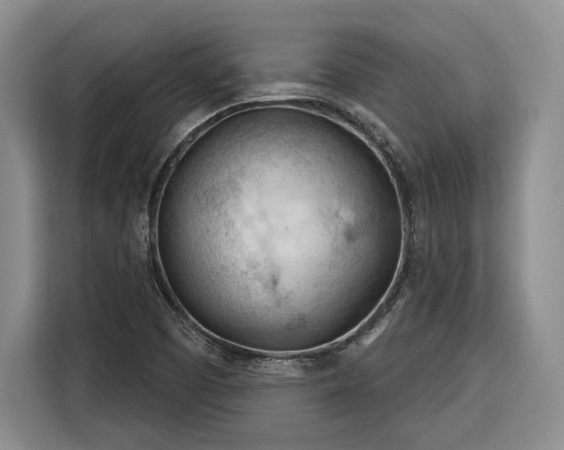 X0000116261457200912071013