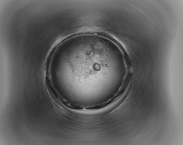 X0000116261459200912071013