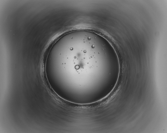 X0000116261461200912071012