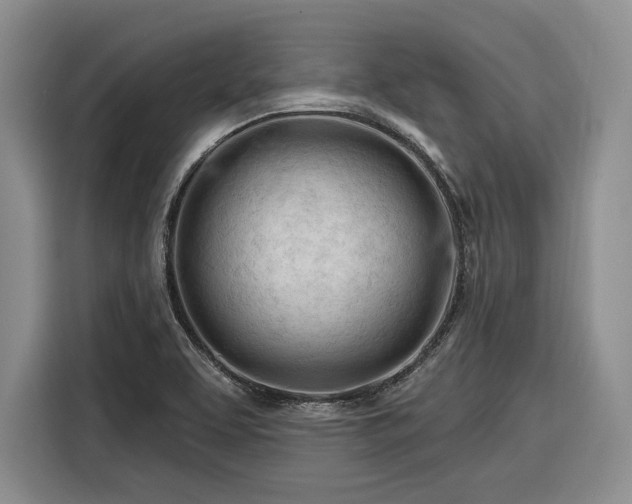 X0000116261463200912071012