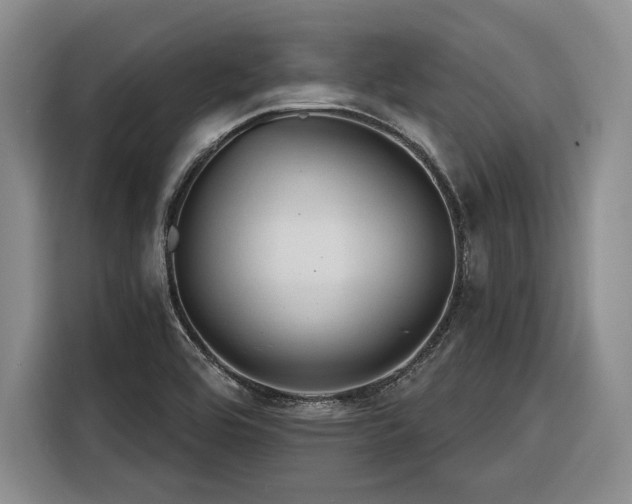 X0000116261464200912071012