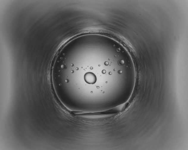 X0000116261465200912071012