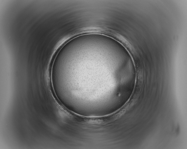 X0000116261466200912071012