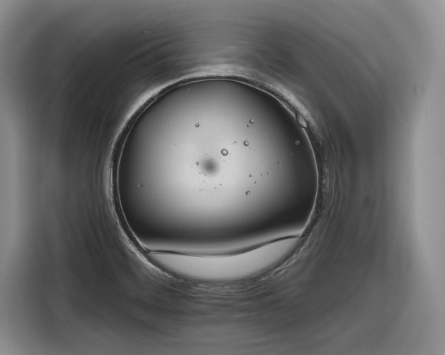 X0000116261468200912071012