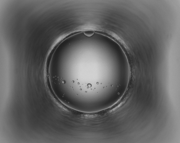 X0000116261469200912071012