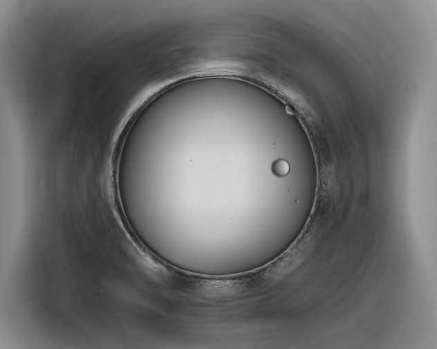 X0000116261470200912071012