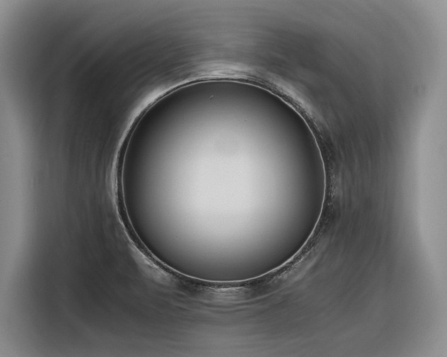 X0000116261471200912071012