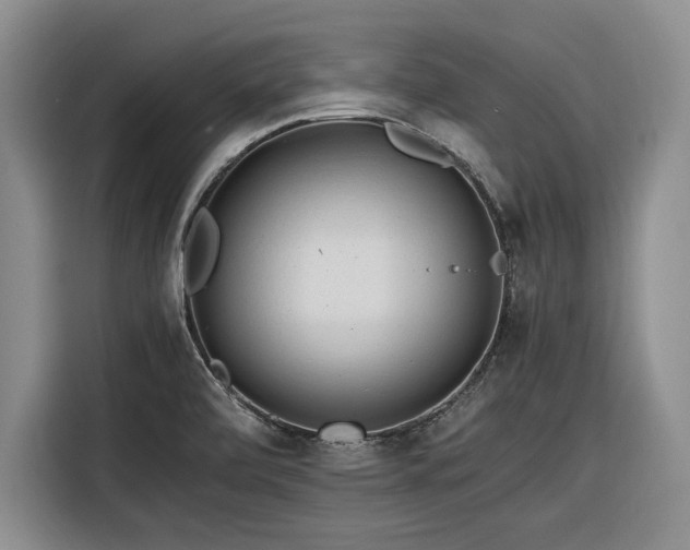 X0000116261472200912071012