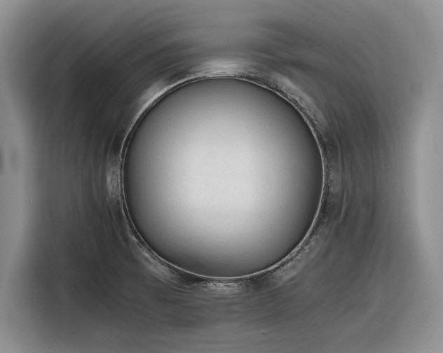 X0000116261473200912071012