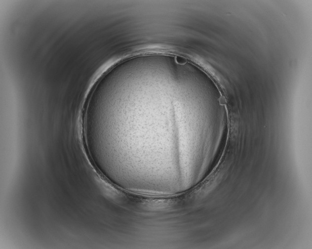 X0000116261474200912071012